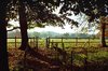 Dedham Vale
