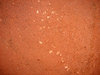 Terracotta 2