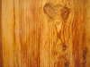 Movila wood 2