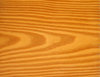 Movila wood 3