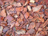 Pine-tree bark