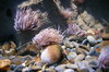Underwater 3