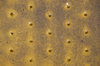 Metalic texture 1