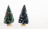Pine trees