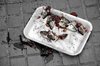 Fish heads & intestines