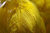 Miami Carnival details 1