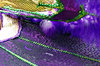 Miami Carnival details 3