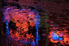Neon lights in the rain