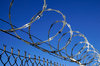 Razor Wire