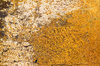 Steel I-Beam Texture