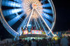 At the Fair... 10