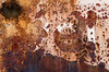 Boxcar textures 7