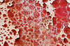 Boxcar textures 9