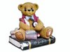 Study bear