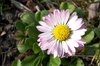 A spring is coming! 3