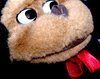 Gorilla's selfportrait