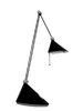The black lamp