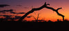 Outback Sunset