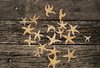 Starfish Repose