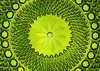 Green with envy