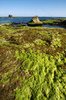 Low Tide Landing 5
