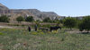Rural life goes on