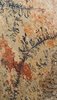 Liking Lichen 2