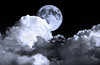 Night Sky