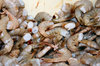 Shrimp ready to boil