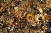 Fool's Gold