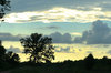 Dusk on the Bayou