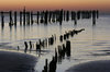 Sunrise with the Tide Out