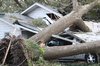 Tree Down