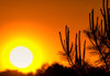 Sunset 4-12-08