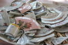 Cracked Dishes