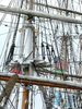 tall ships