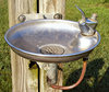 Water Fountain