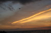 Cloud Cover