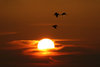 Sunrise 4-27-06