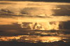 Storm Over Texas
