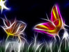 Fractal Butterfly