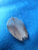 Feather