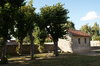 Small house