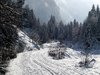 winter morning
