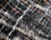 Collagen Texture 3