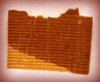 Wet Paper