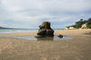 Coastline Pillar