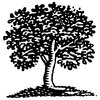 Tree Art 1