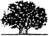 Tree Art 2