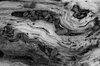 Driftwood Texture